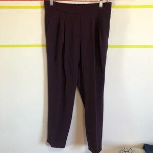 Aritzia / Babaton cohen pants